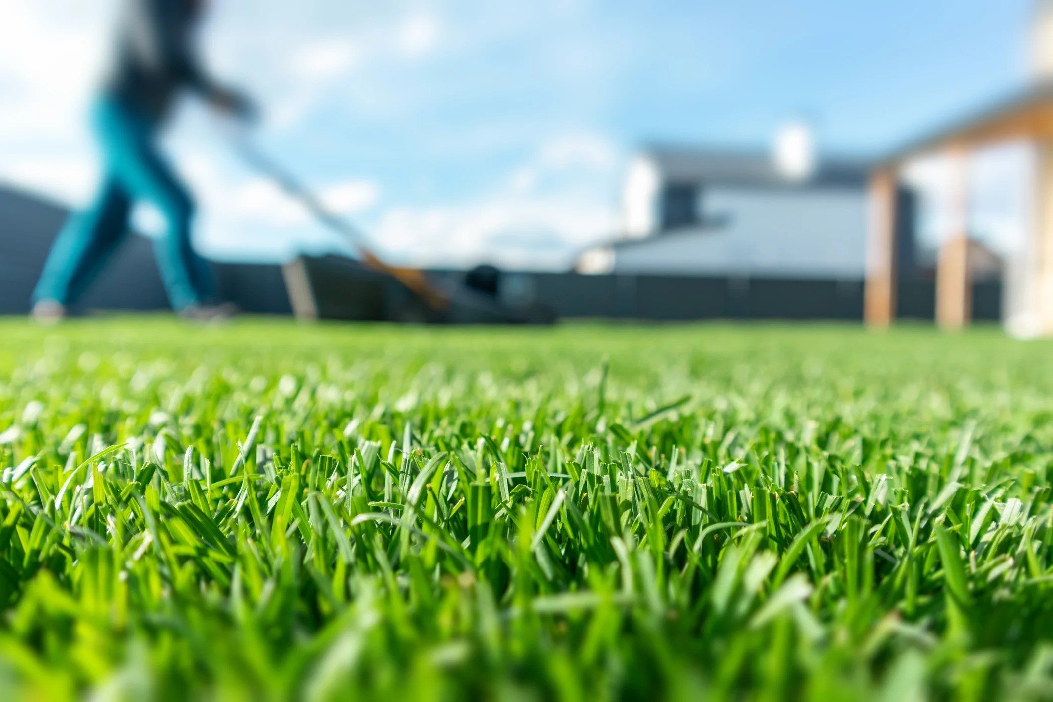 tdi grass and lawn mower