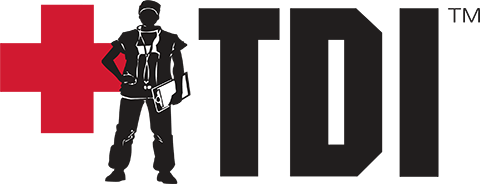 TDI Services Logo